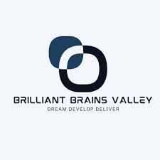 Brilliant Brains Valley